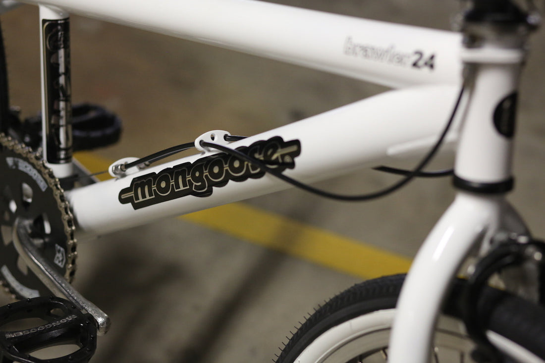 2000 Mongoose Brawler 24