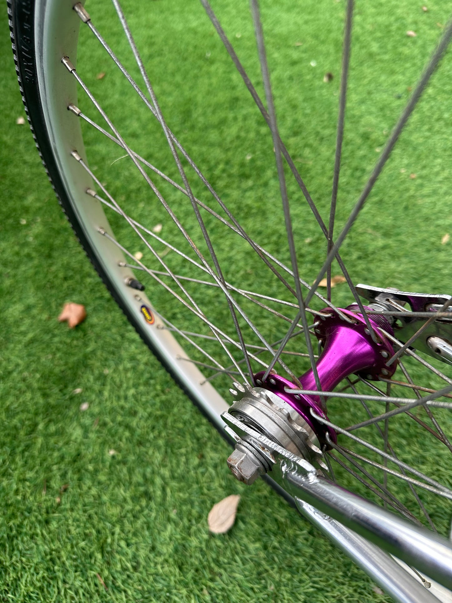 1989 Vortex Junior Pro BMX survivor