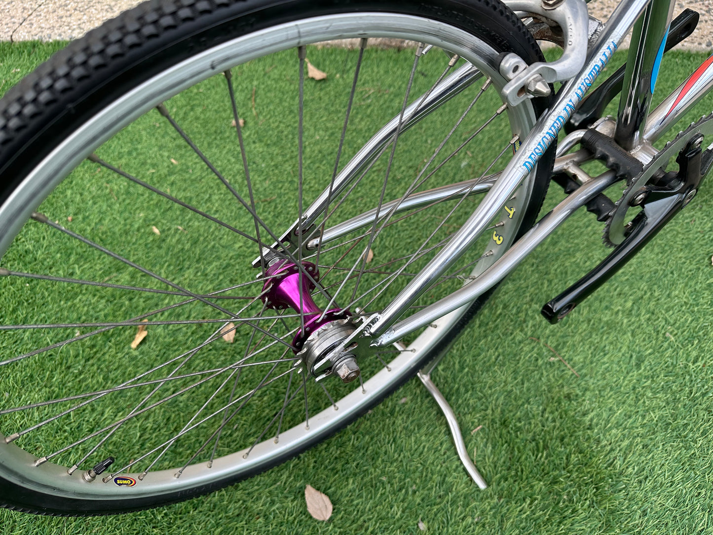 1989 Vortex Junior Pro BMX survivor