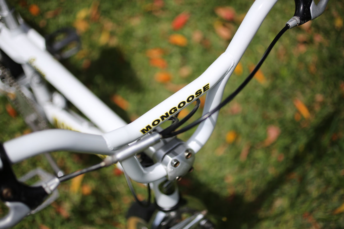 1999 Mongoose Pro Rogue BMX 10