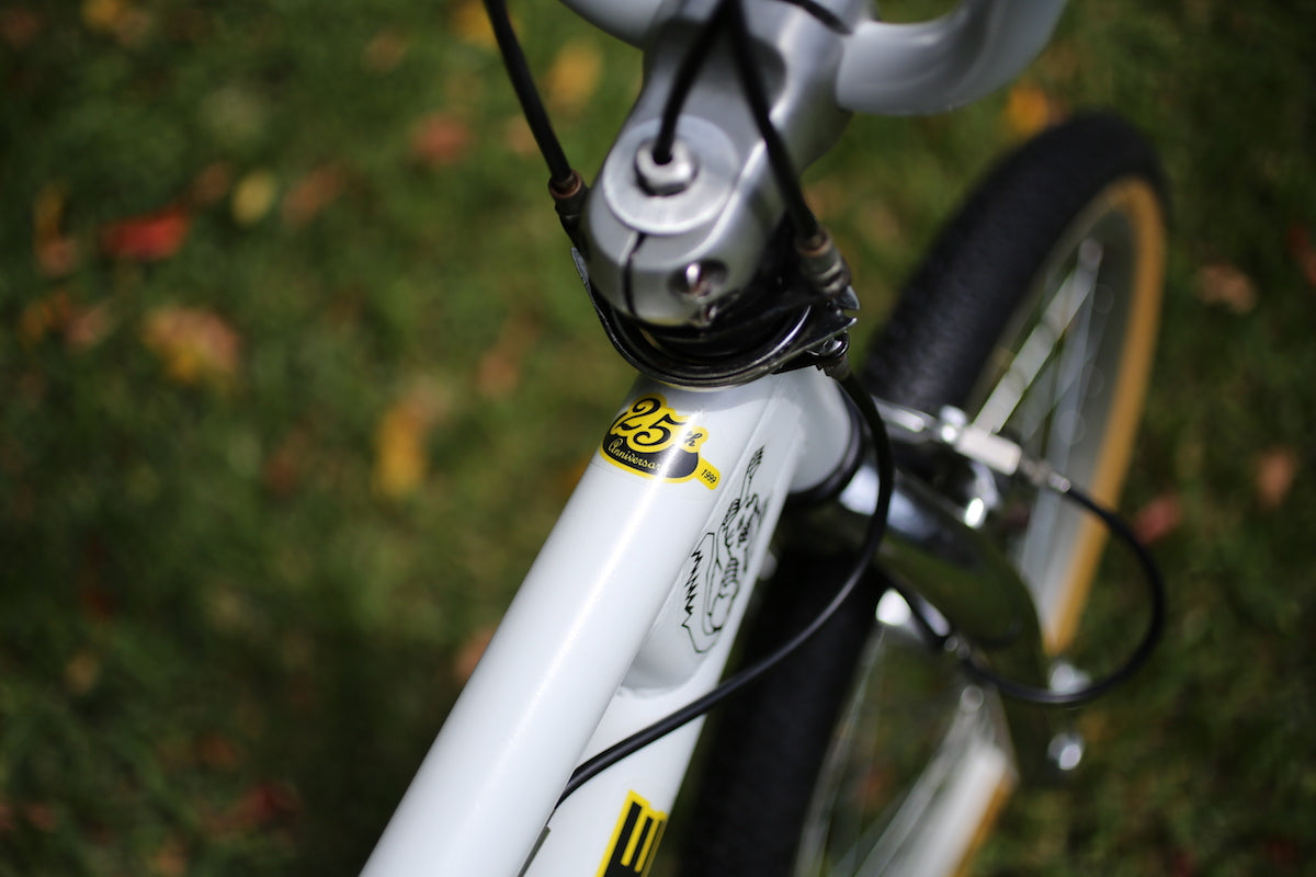 1999 Mongoose Pro Rogue BMX 12