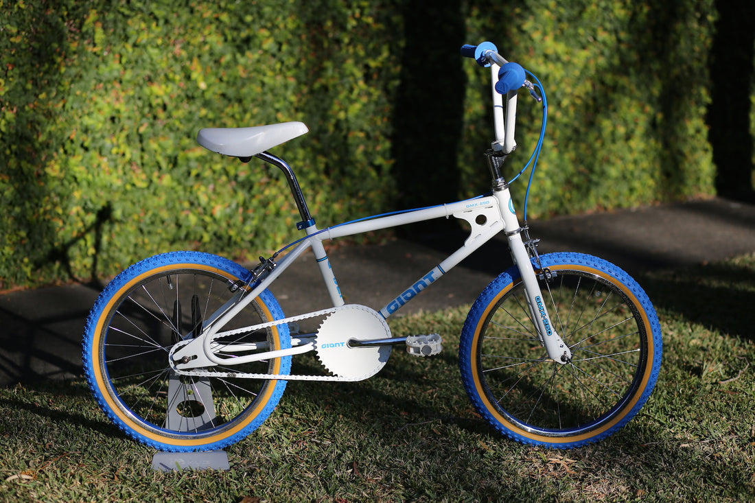 giant bmx bicycles 1980 GMX-250 complete Re-Rides mechanical disc brakes Giant Animator C/B 16 -