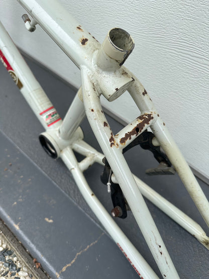 2007 GT Compe BMX Frame and Fork