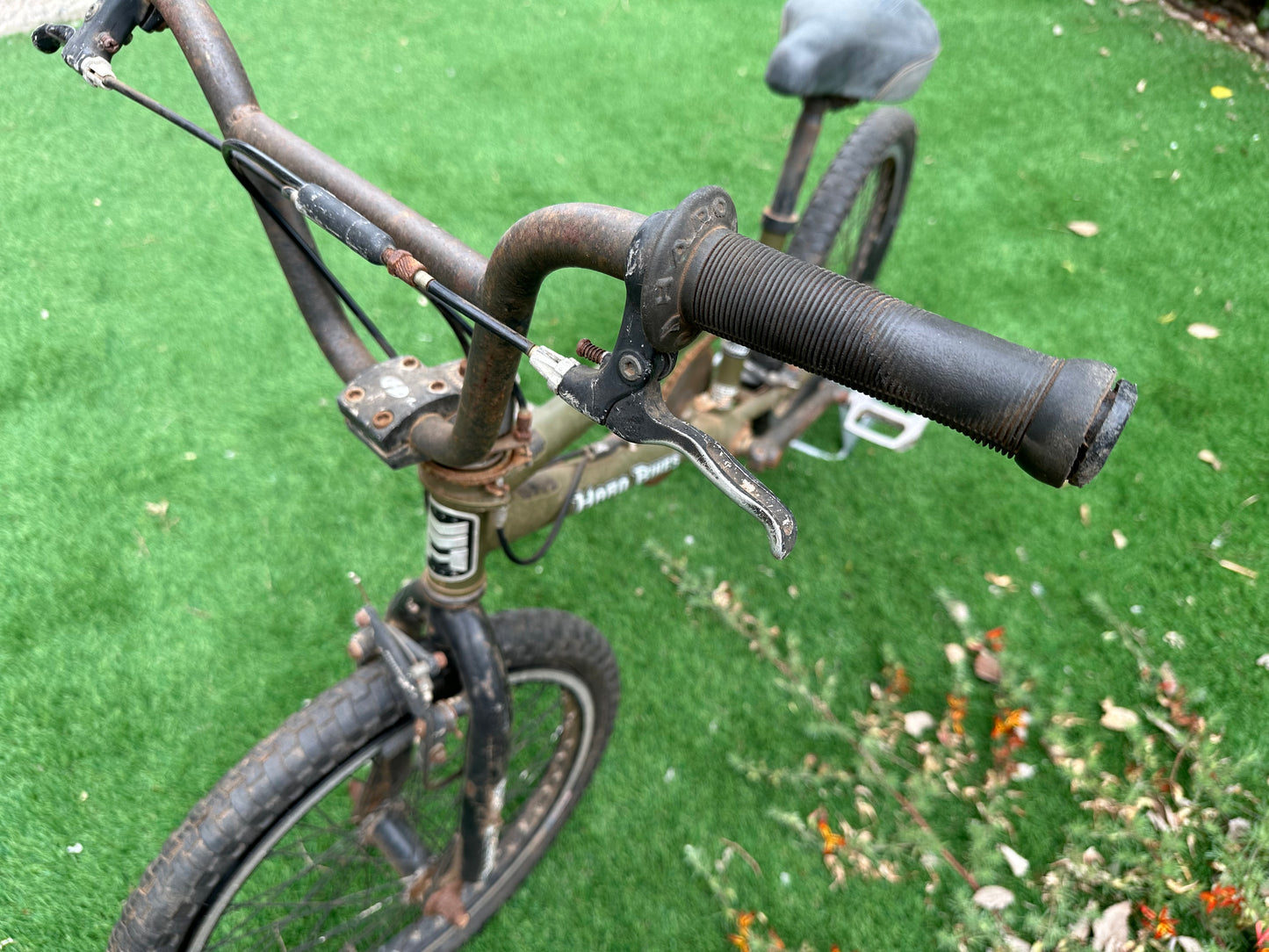 2005 Haro Backtrail X1 BMX