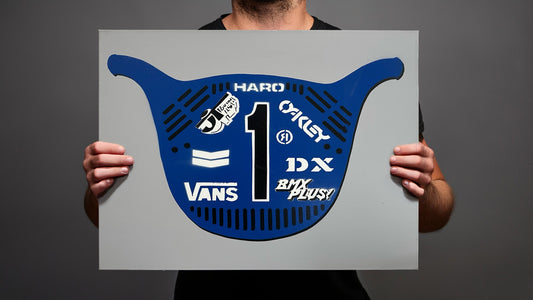 holding-painted-haro-race-plate-blue-black-grey-canvas-1