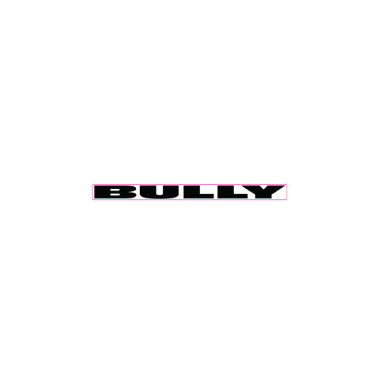 bully-crank-decal-GER